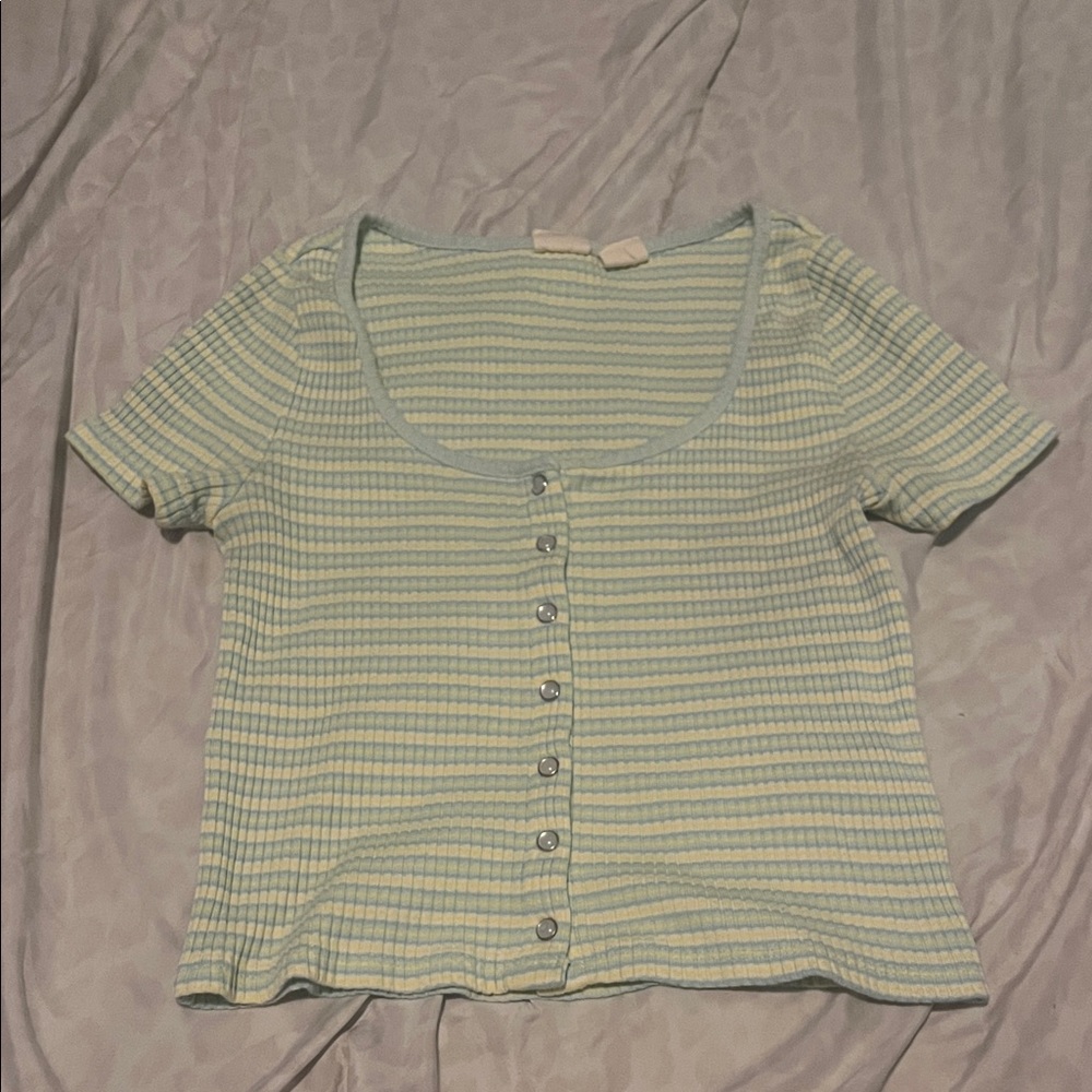 Striped Scoop Neck Button-Front Crop Top in Pastel Mint